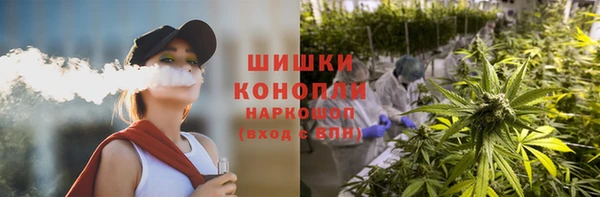 стафф Дмитров