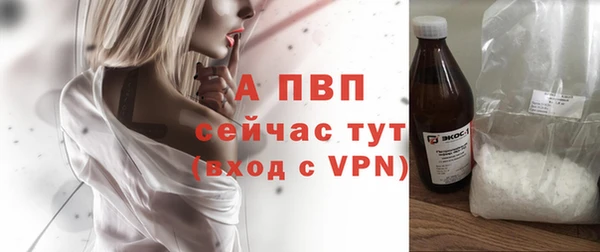 винт Гусиноозёрск