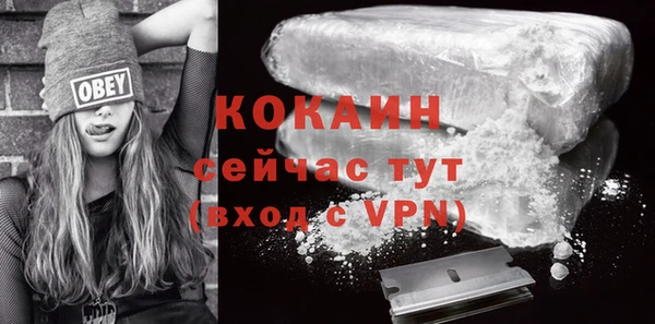 эйфоретик Гусь-Хрустальный