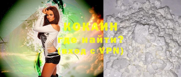 эйфоретик Гусь-Хрустальный