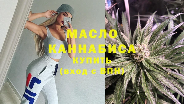 эйфоретик Гусь-Хрустальный