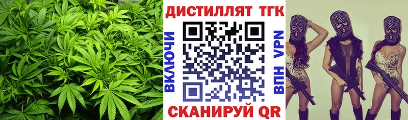 Купить закладки  Заозёрск  ТГК Wax 