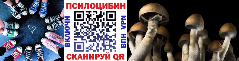 Псилоцибиновые грибы прущие грибы  Купить закладки  Заозёрск 
